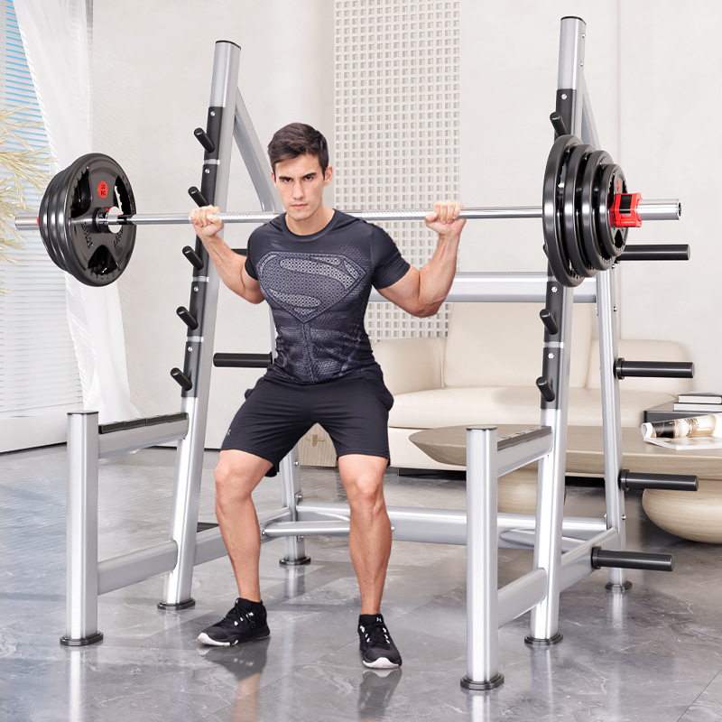 Squat Rack Power Cage, Plate L - Heavy Equipment Lift 评论和价格